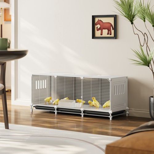 Chick cage pet - chick,