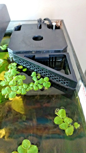 Magnetic plant guard for juwel - guard,