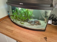 ? INSTANT AQUARIUM! Aquael 35L Tropical Fish Tank Complete Setup - Bromley, BR2