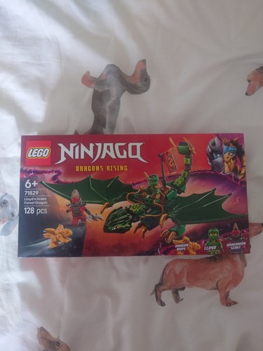 Lego ninjago lloyd - lego, green