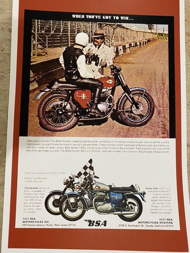 Bsa hornet thunderbolt royal - bsa,