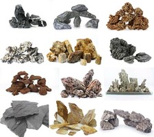 Aquarium rock fish - aquarium,