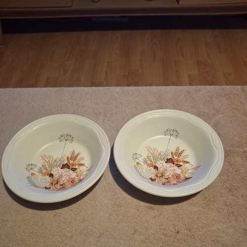 Vintage poole pottery summer - pottery,,