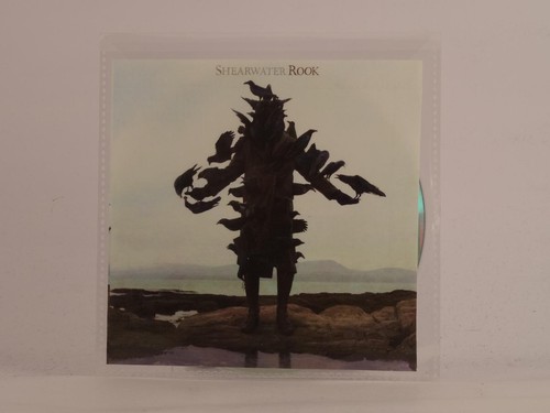 Shearwater rook track - rook,