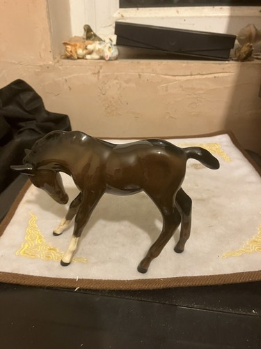 Large beswick foal - with, head