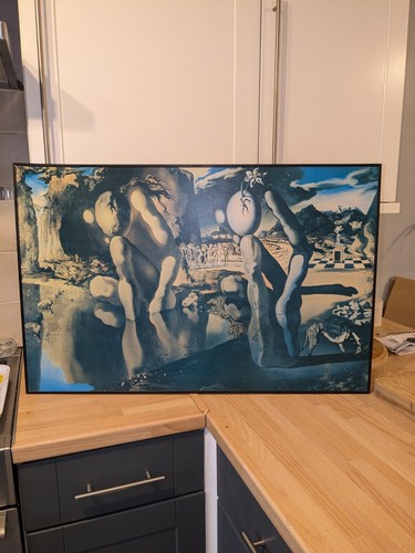 Salvador dali metamorphosis - salvador,