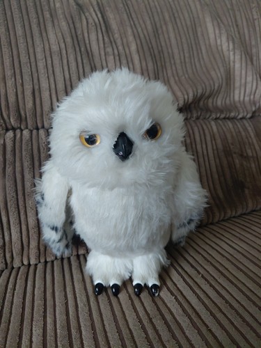 Harry potter enchanting - potter, hedwig