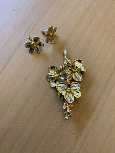 Brooch and earring set