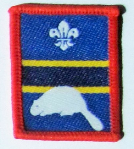 Scout patrol badge beaver - scout,
