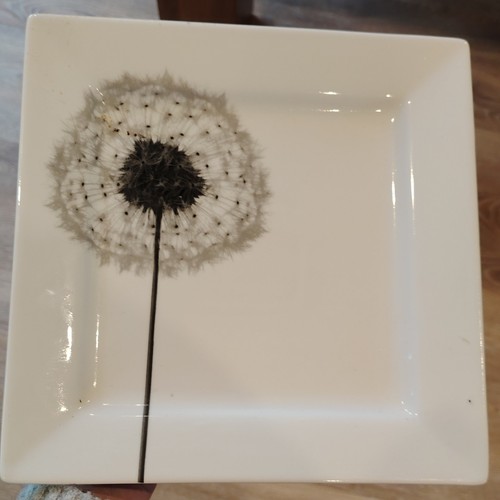 Tesco porcelain square serving - tesco,