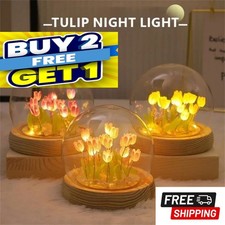 Artificial Tulip Flower Night