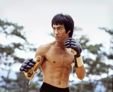 Bruce Lee Poster Print bl002