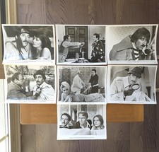 PINK PANTHER INSPECTOR