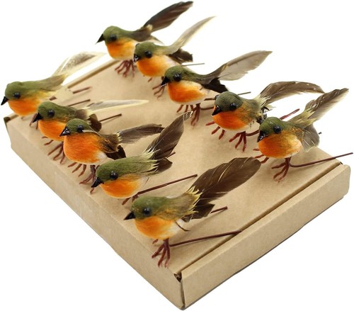 Yolococa 10pcs robin - robin, bird