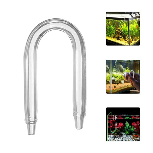 Aquarium plants equipment - plants, fish