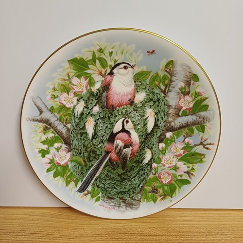Royal worcester long tailed - worcester,