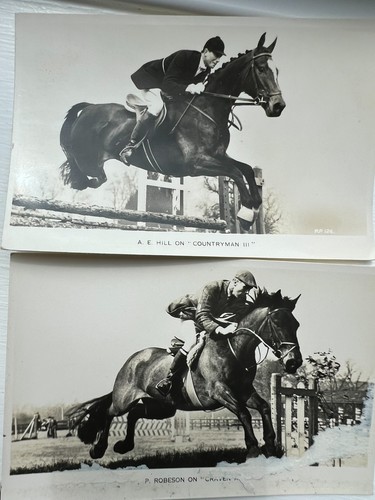 Show jumping horses four - horses,