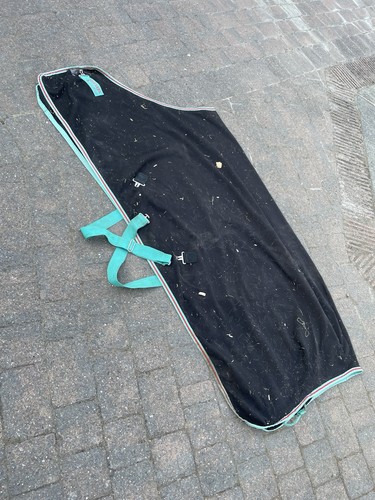 6ft 6ft3 horseware amigo - 6ft,