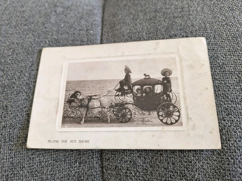 Along the sea - sea, cart