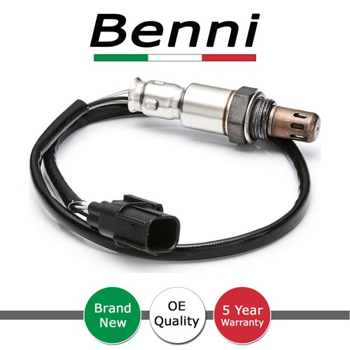 Benni rear wire - rear, o2