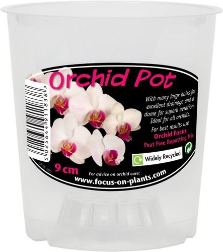 5cm green orchid - green, by