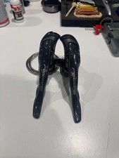 Campagnolo Rim Carbon record