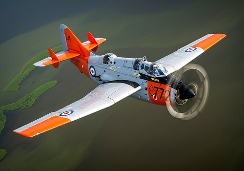 Fairey gannet canvas - fairey,