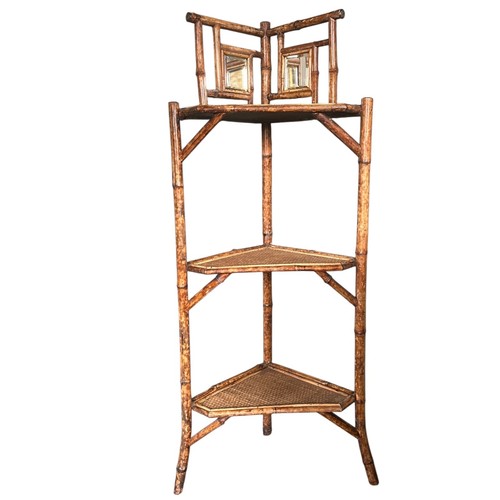 Victorian tiger bamboo - victorian,