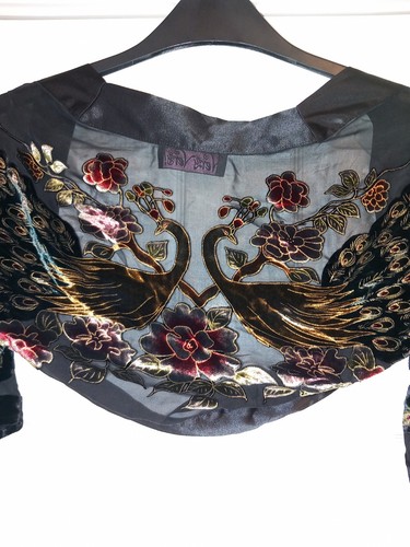 Vintage peacock burnout velvet - vintage,