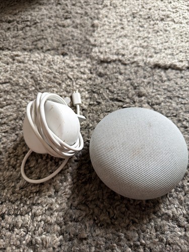 Google nest mini - google,