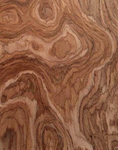 Hazel burl sarraifo burr wood - burr,