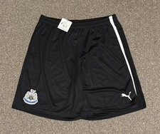 Newcastle United 2013/14