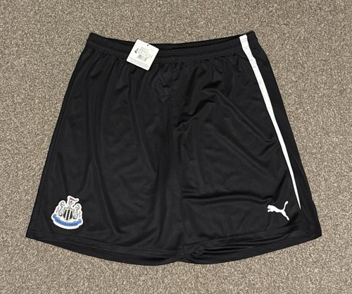 Newcastle united 2013 - united, 2013/14