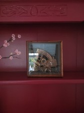 NAUTICAL  Kelvin & Hughes