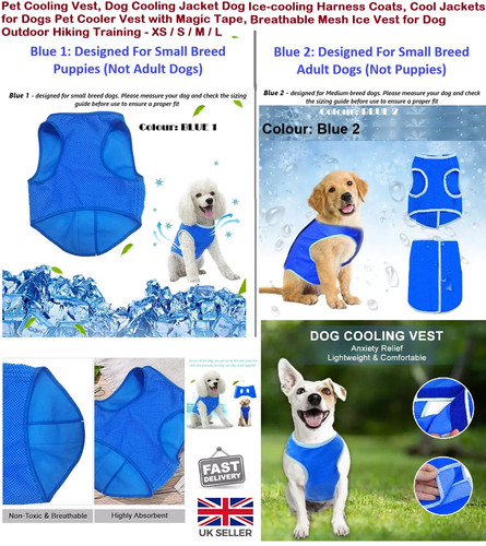 Pet dog cooling - pet,