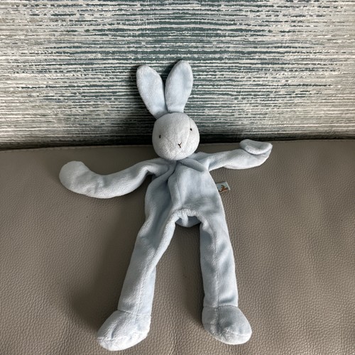 Bunnies the bay blue - the,