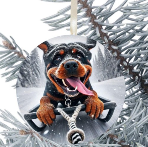 Rottweiler dog hanging - rottweiler,