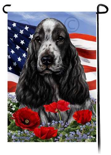 English cocker spaniel - english,