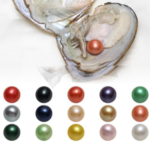 10x oysters real - real, pearl