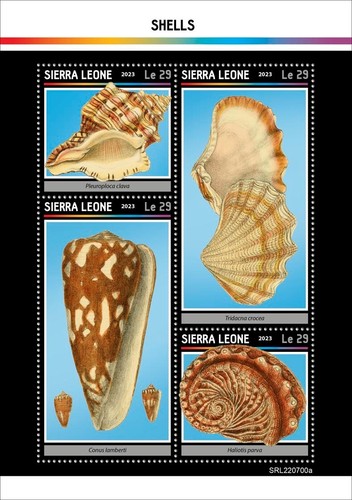 Shells mnh stamps - stamps, 2023