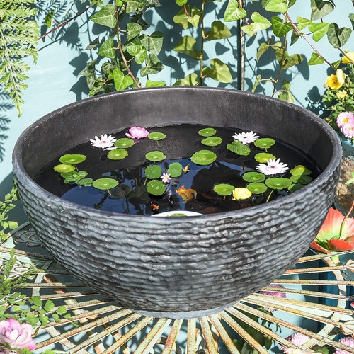 Large garden bowl planter - large,