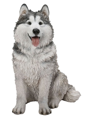 Vivid arts malamute husky dog - husky,