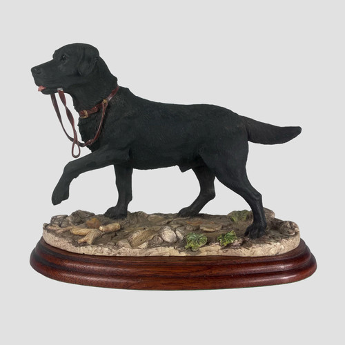 Labrador black with - black,