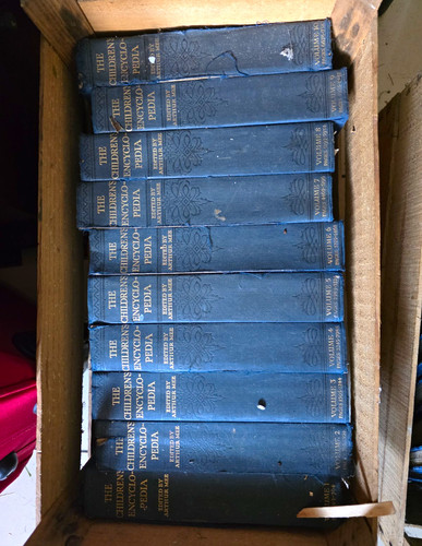 The children encyclopaedia - children's,