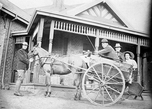 1916 horse and pony - horse,