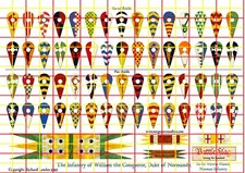 Victrix Norman Infantry Shield Waterslide Decals by Battle Flag.Super Value Set.