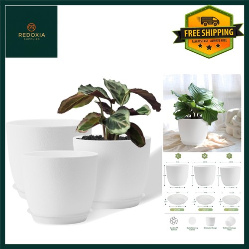 Modern decorative plastic - decorative,