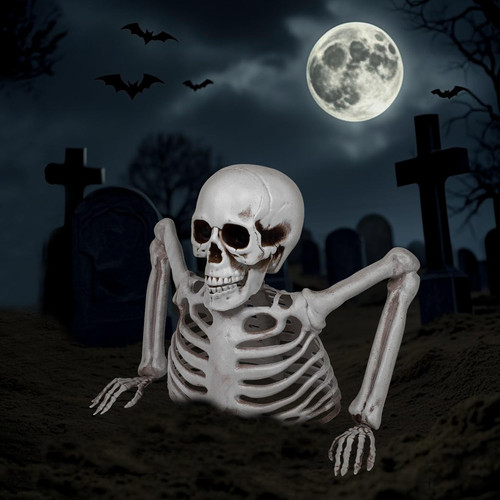 Halloween skeleton decoration - halloween,