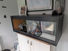 Bearded Dragon Terrarium Fully set up.