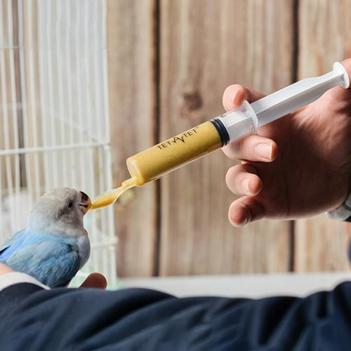 Reusable bird feeding syringe - reusable,